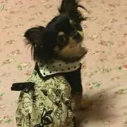 ひーちゃんの画像