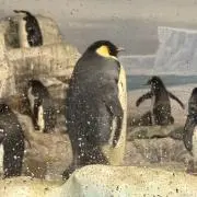 たばたくの画像