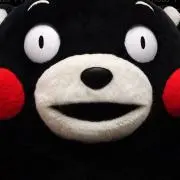 Cocoの画像