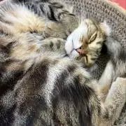 【納得頂ける購入を目指してます】RIOの画像