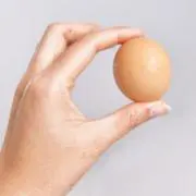 うずらの画像