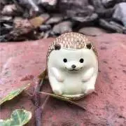 paseriの画像