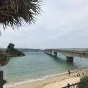 tm2014の画像