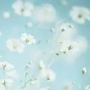 ゆうの画像