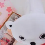 ずぅの画像