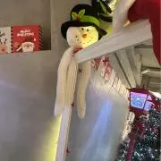 こーの画像