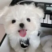 niniの画像