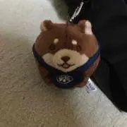 やまやま