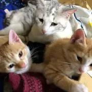 まさ