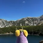 しらたまの画像