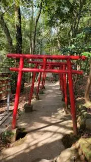 ポニョの画像