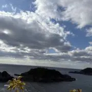 みーの画像