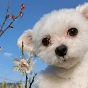 ほぅママ