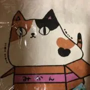 昆布の旨味の画像