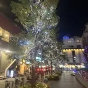 もっけの画像