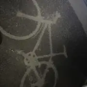 たぬきち