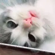 HIKARUの画像