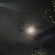 ♡の画像