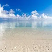 ずんだの画像