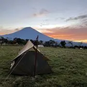 masaの画像