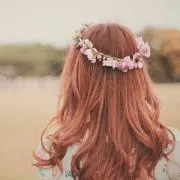 ニコの画像