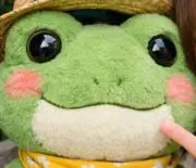 けろっぴの画像