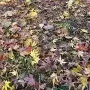Akits▽の画像