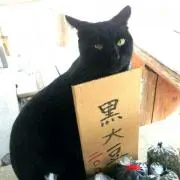 カズ