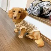 あゆ(オーダーは専用ページへお願いしますの画像