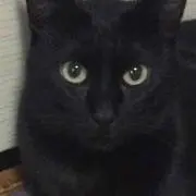 みずき