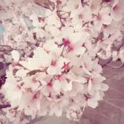 mmの画像