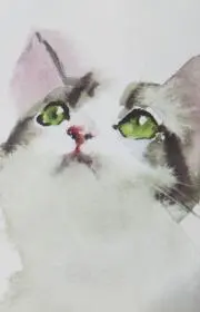 Za Kaの画像