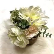 ガーベラの画像