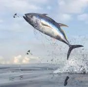 かっ飛びの画像