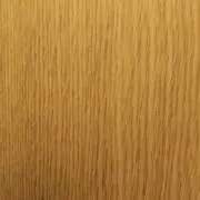のんの画像