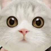ぴぃすけの画像