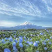 灯の画像