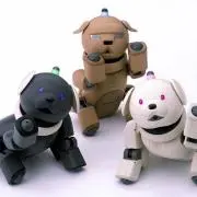 わんきちの画像