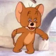 断捨離中の画像