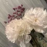 ⭐︎8/22-8/27発送不可⭐︎の画像