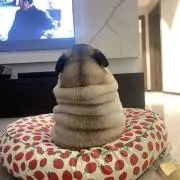 最速発送目指し隊の画像