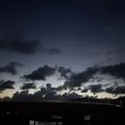 ねベルの画像