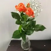 なほまるの画像