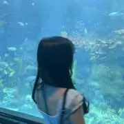 Yuiの画像