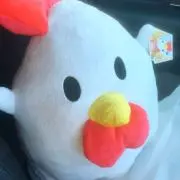 うぃざーさんの画像