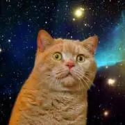 音狂若人卍の画像