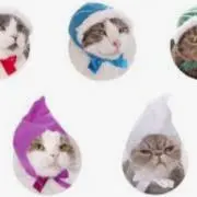 ☆ひまわり☆の画像