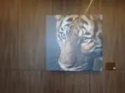りん*発送遅め*詳細は自己紹介への画像