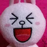 ひめとら