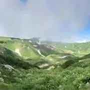 ◆一期一会◆の画像